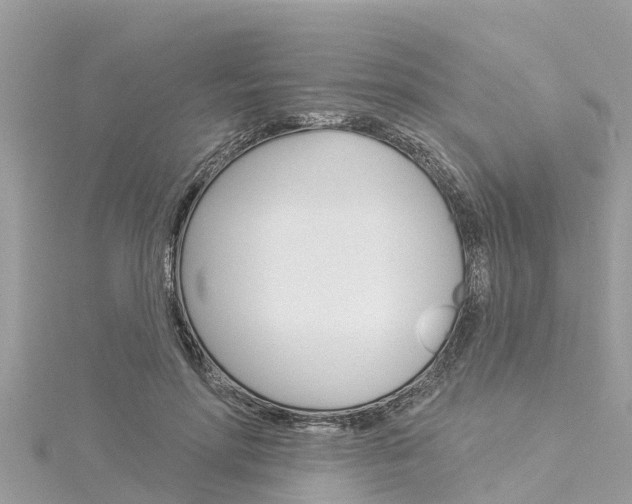 X0000116040598200911201023