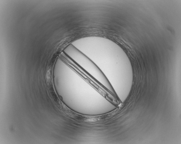X0000116040611200911201023