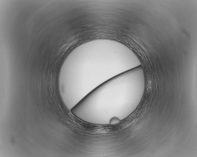 X0000116040616200911201023