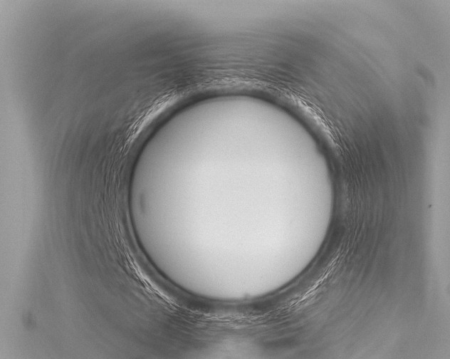 X0000116040625200911201022