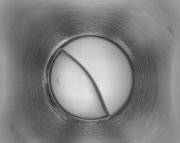 X0000116040628200911201022