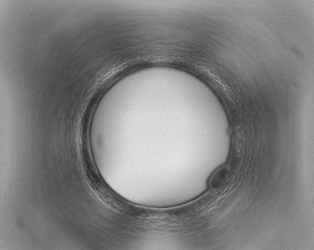 X0000116040631200911201022