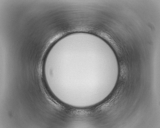 X0000116040632200911201022