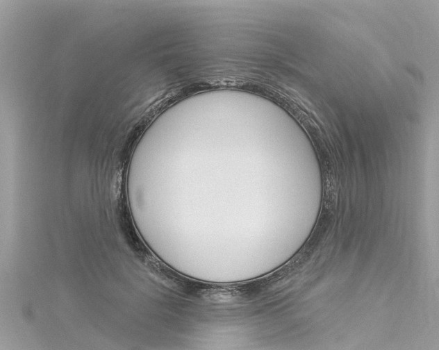 X0000116040652200911201022