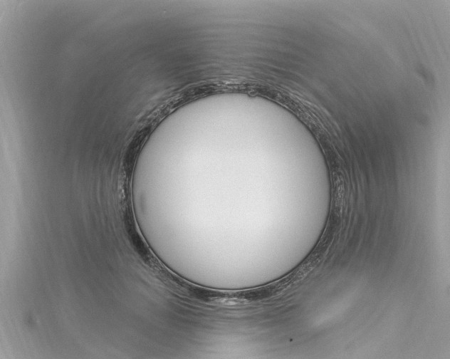 X0000116040654200911201022