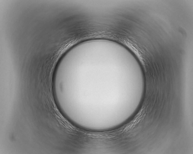 X0000116040673200911201022