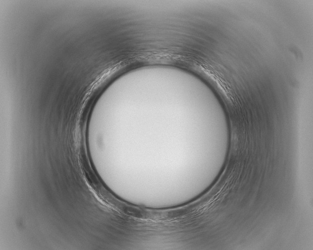 X0000116040674200911201022