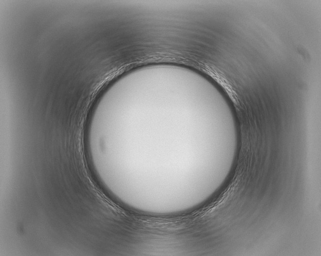 X0000116040681200911201022