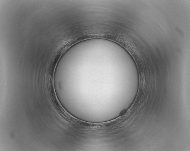 X0000116040692200911201022
