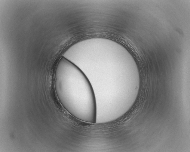 X0000116040697200911201022