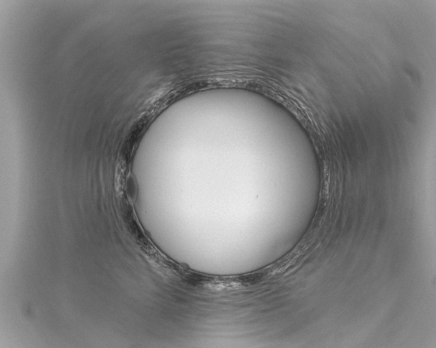 X0000116040712200911201021