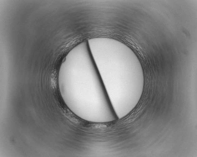 X0000116040719200911201021