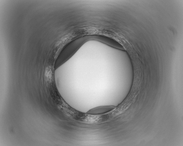 X0000116040720200911201021