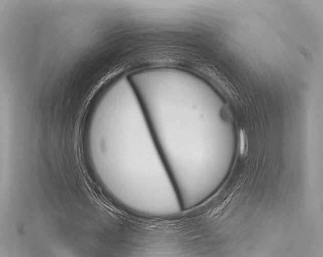 X0000116040723200911201021