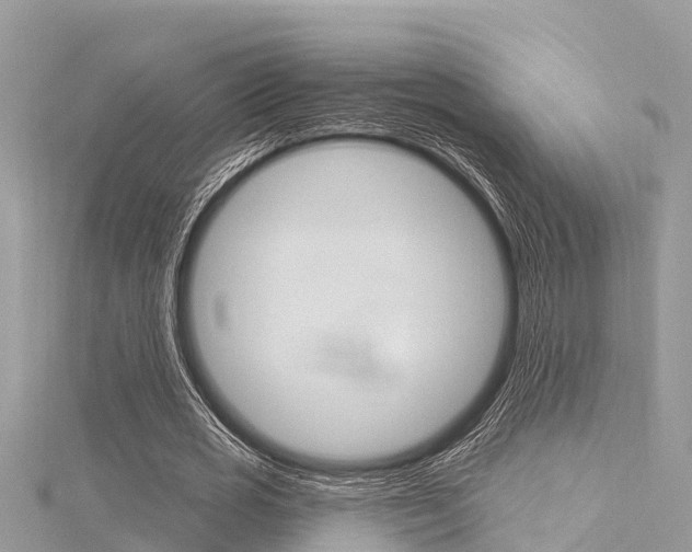X0000116040725200911201021