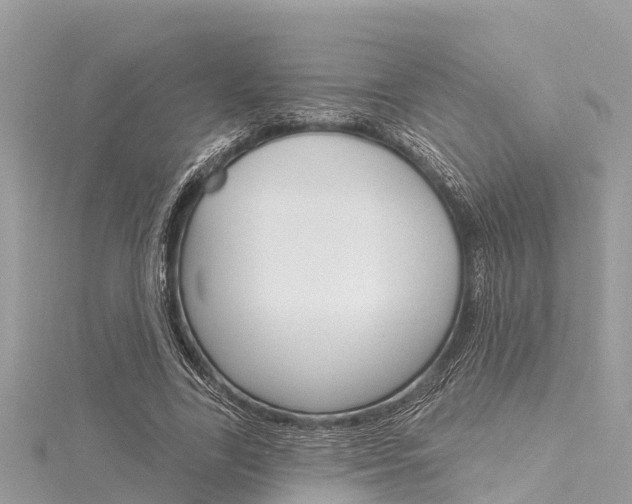 X0000116040731200911201021