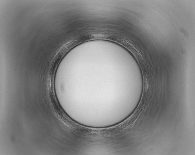 X0000116040733200911201021