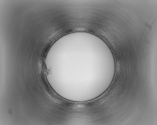 X0000116040741200911201021