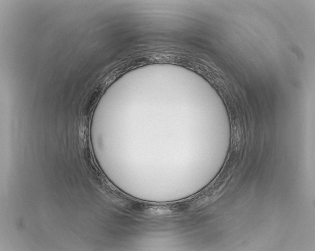 X0000116040749200911201021