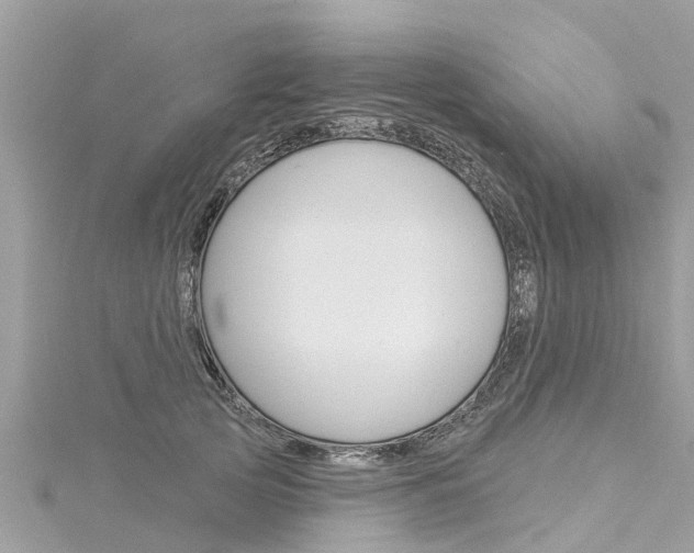 X0000116040753200911201021