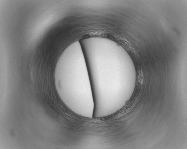 X0000116040763200911201021