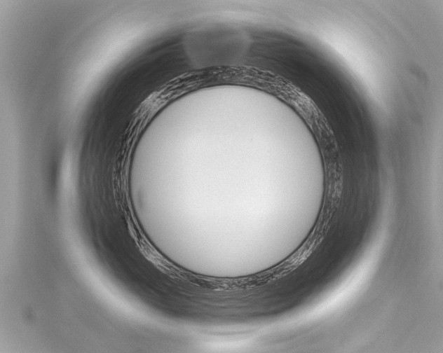 X0000116040765200911201021
