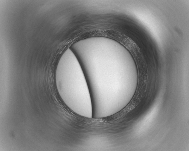 X0000116040767200911201021