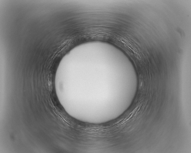 X0000116040771200911201021