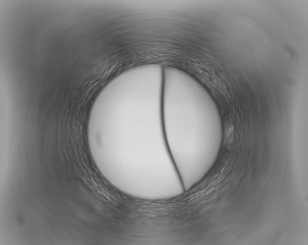 X0000116040772200911201021