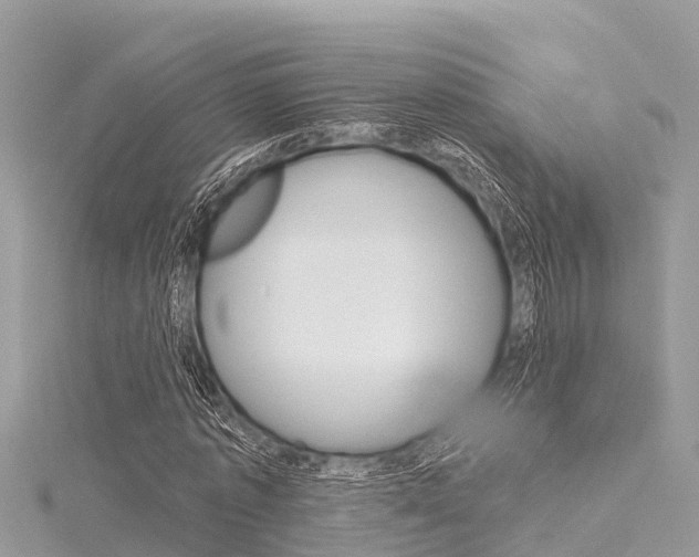 X0000116040773200911201021