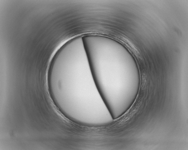 X0000116040788200911201020