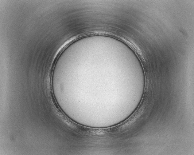 X0000116040798200911201020