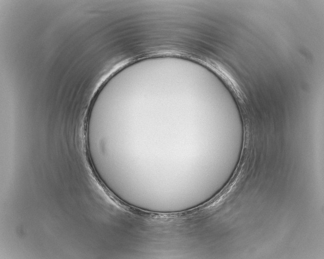 X0000116040806200911201020