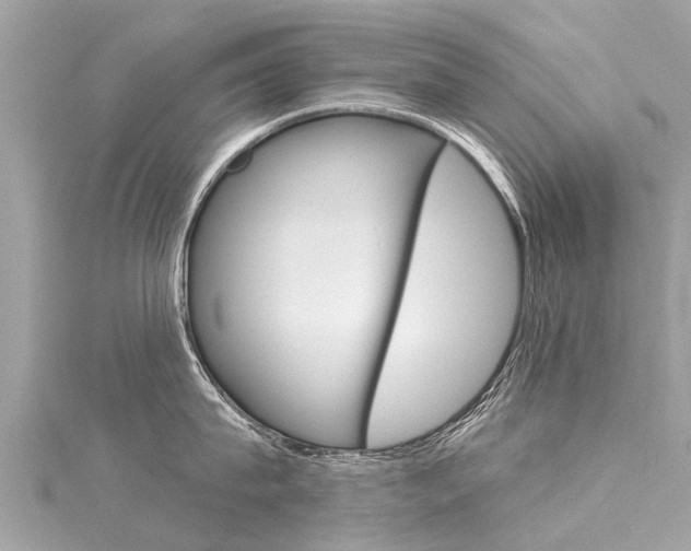 X0000116040815200911201020