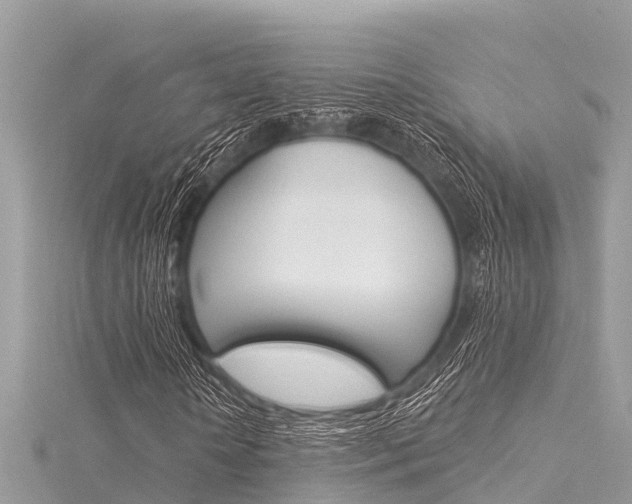 X0000116040818200911201019