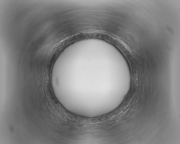 X0000116040821200911201019