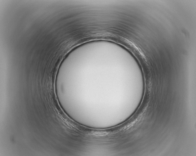 X0000116040825200911201020