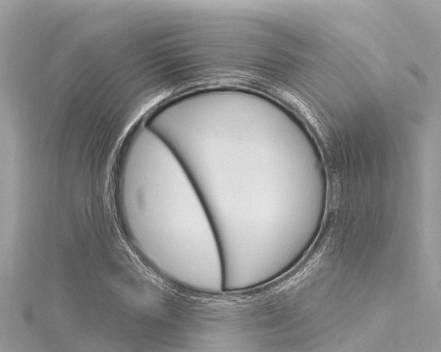 X0000116040827200911201020