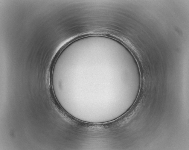 X0000116040838200911201020