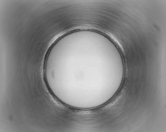 X0000116040845200911201020