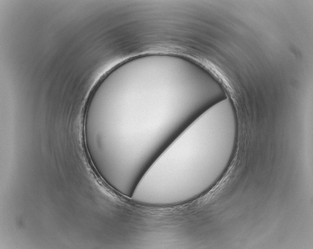 X0000116040854200911201020