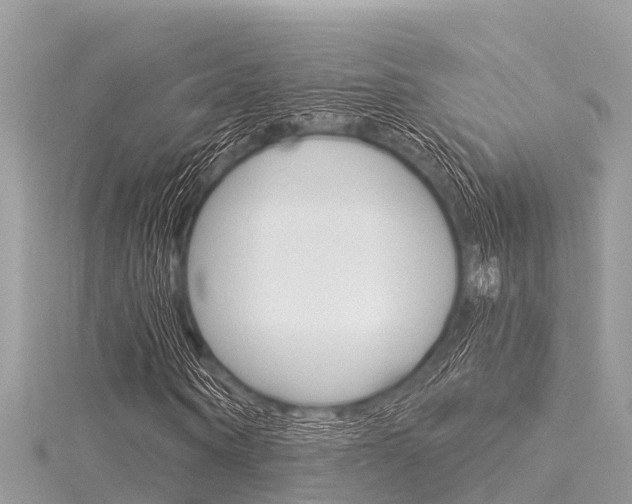 X0000116040866200911201019