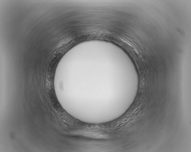 X0000116040869200911201019