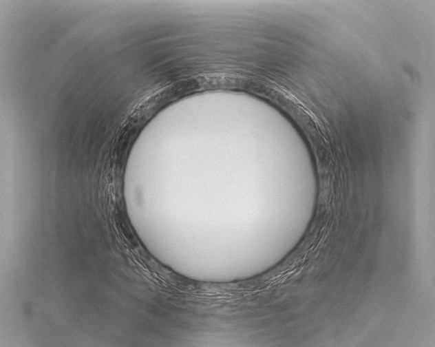X0000116040870200911201019