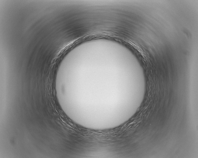 X0000116040872200911201019