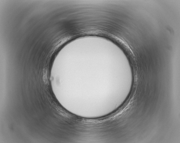 X0000116040873200911201019