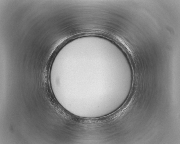 X0000116040875200911201019