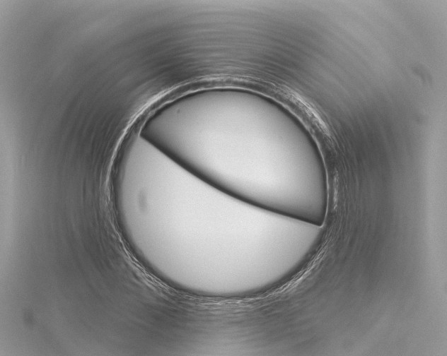 X0000116040876200911201019