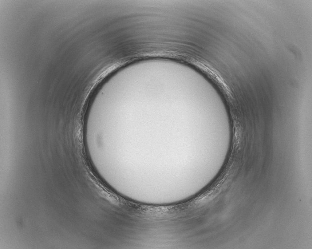 X0000116040882200911201019