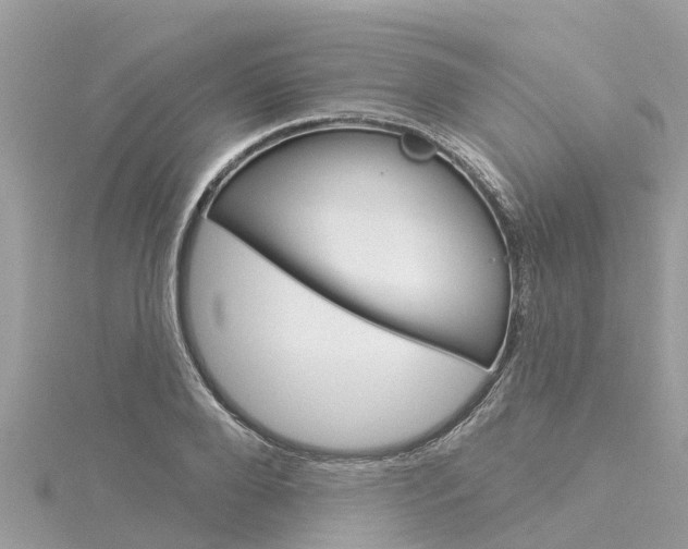 X0000116040888200911201019